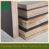 Best Quality 18mm Black Film Faced Plywood