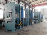 Rubber Product Vulcanizing Machine with Good After Service and Quality