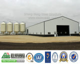Prefab Steel Shed Warehouse Construction Building