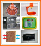 Automatic Poultry Farm Equipment for Chicken Broiler