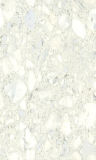 Glossy Ceramic Wall Tile 250X400mm
