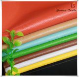 PVC Leatheroid Fabric for Bag/Sofa/Car