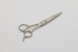 Hair Scissors (U-201)