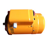 (CE) Sprayer Electric Motor, AC Motor