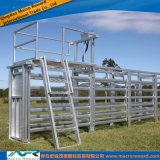 AS/NZS Steel Loading Ramp/Chute Livestock Loader