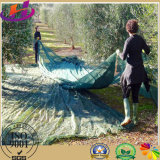 Warp Knitted HDPE Olive Shade Net for Harvest in Agriculture Net