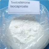 Pharmaceutical Chemical Anabolic Steroid Hormone Drugs Testosterone Isocaproate
