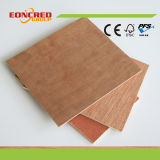 Veneer Face Plywood for Container Flooring