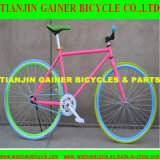 Tianjin 700c Road Bicycle Equipped with Fixed Gear