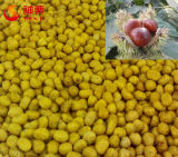 Wholesale Frozen Peeled Chestnuts with Best Price and Quality
