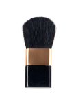 Compact Blush Brush Cosmetic Brush Ly-B025