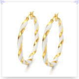 Fashion Accessories Stainless Steel Jewelry Earrings (EE0098)