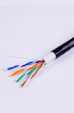 Outdoor 8 Number of Conductors and Cat5e Type Cable