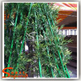 Plastic and Reasonable Price Artificial Bamboo for Decoration
