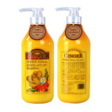 Shampoo for Anti-off Hair with Ginger Skin Care OEM