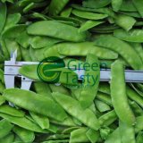 New Crop IQF Frozen Fresh Pea Pods