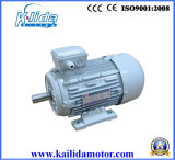 Electric AC Fan Motors