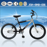 King Cycle Children Mountain Bike for Boy Direct From Topest Factory