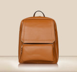 Guangzhou Supplier Designer Satchel School Pack Bag (XB302)