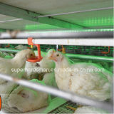 2015 Hot Sale Poultry Equipment Layer Battery Cage