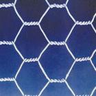 The Lowest Price Hexagonal Wire Netting (ck-001)