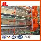 High Quality Poultry Farm Layer Chicken Cages