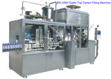 Flavoured Juice Carton Liquid Filling Machinery (BW-2500)