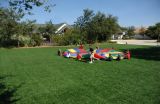 Artificial Grass for Kids Outdoor Recreation Area (MD300)