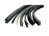 Co-Extruded Rubber Profiles (RB-04)