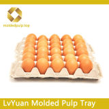 Molded Pulp Egg Tray Egg Carton