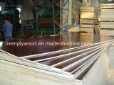 Poplar Core Brown Film Faced Plywood