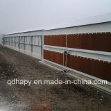 Steel Structure Construction for Poultry Farm