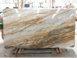 Forest Rain Brown Marble Tiles for Wall