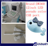 Animal Portable Ultrasound Equipment with USB (DW360)