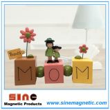 Mother's Day Gift /Magnet Decoration/ Resin Crafts