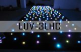 Stage Light-LED Star Curtain / LED Color Choose (LUV-LHC)