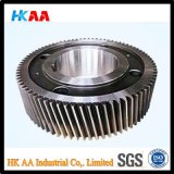 China Dongguan Best Sale High Speed Steel/Plastic/Nylon Helical Master Gear