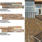 Nature Rust Burrs Cultured Stone Slate Molds for Wall