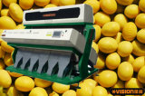 Broad Cowpea Beans Separating Machine! Agricultural Machinery for Beans! (VSN3000-G6R)