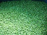 Export Frozen Vegetables Green Beans