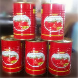 Canned Food Canned Tomato Paste From China