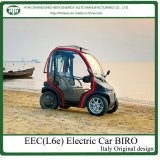 4kw Mini Electric Car