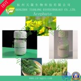 Good Quality Insecticide Acephate 97%SG