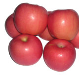 Fresh FUJI Red Apple