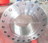 Forged Weld Neck Flange for Wellhead