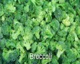 IQF Broccoli FDA, HACCP, Brc, ISO
