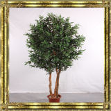 Large Outdoor Artificial Olive Bonsai Tree with Best Price