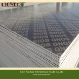 18mm Recycled Core Cheapest Price Marine Plywood for Construction