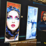 Advertising LED Light Box for Cosmetics Shop Store LED Sign