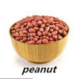 Best Price Peanut Supplier From China